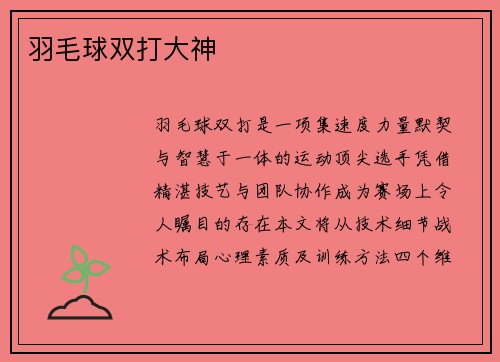 羽毛球双打大神