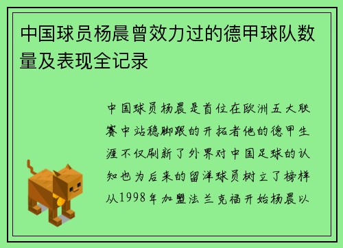 中国球员杨晨曾效力过的德甲球队数量及表现全记录